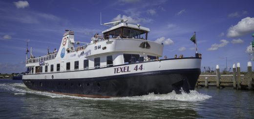 TX44 robbenboot Texel